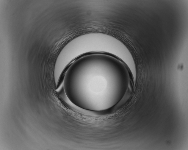 X0000116160043200911231415