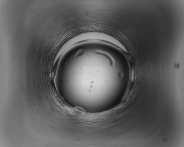 X0000116160045200911231415