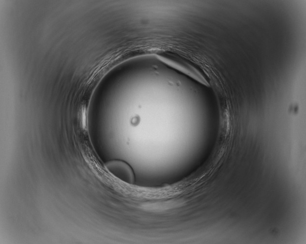 X0000116160046200911231415