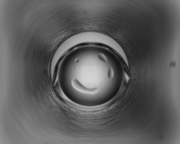 X0000116160047200911231415