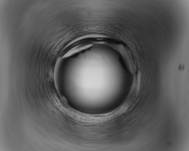 X0000116160048200911231415