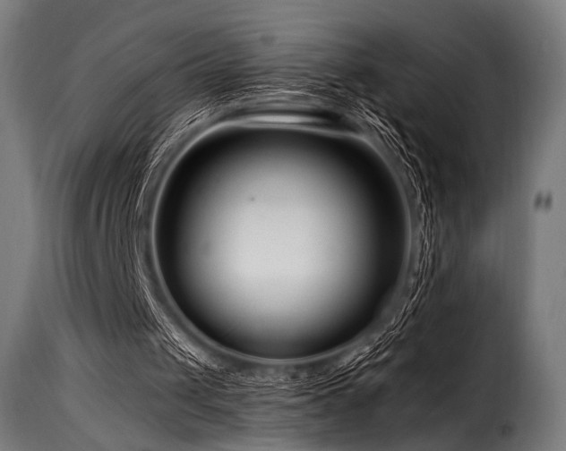 X0000116160049200911231414