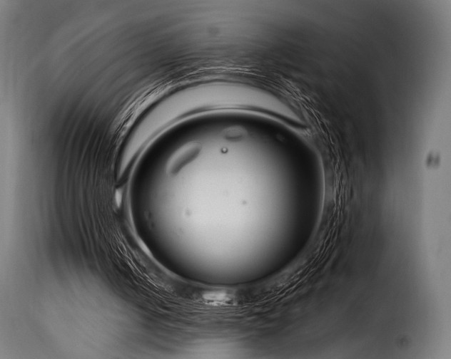 X0000116160050200911231414