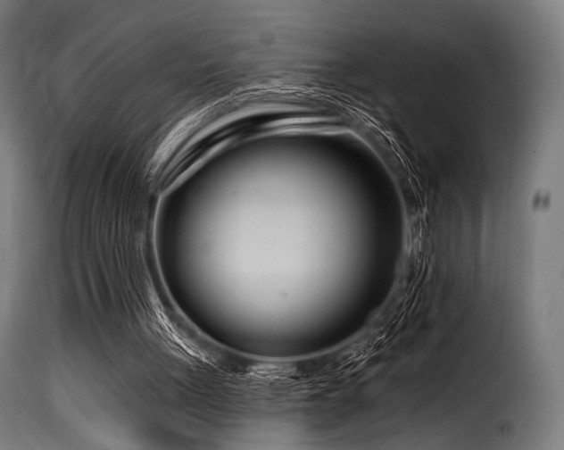 X0000116160051200911231414