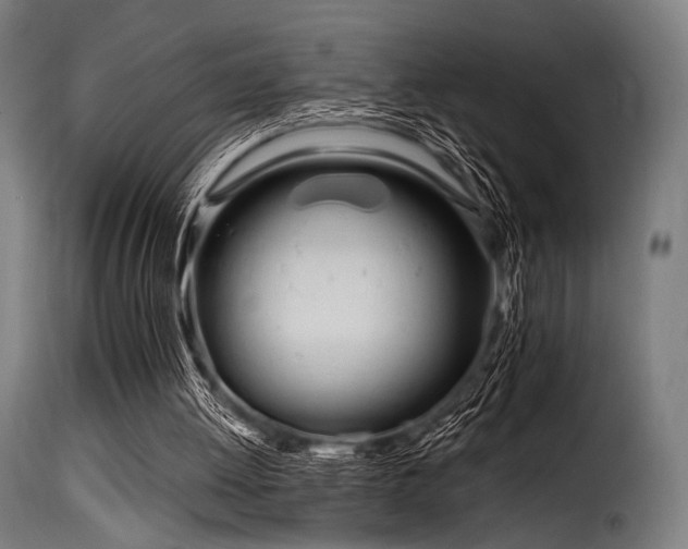 X0000116160052200911231414