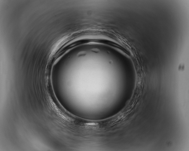 X0000116160053200911231415