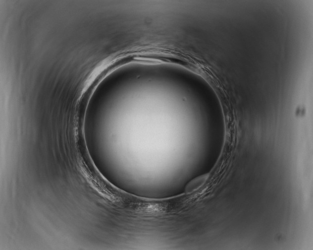 X0000116160056200911231415