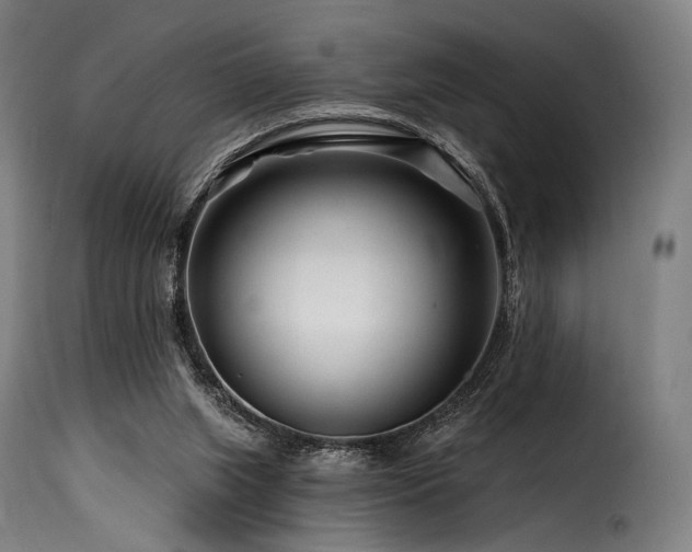 X0000116160063200911231415