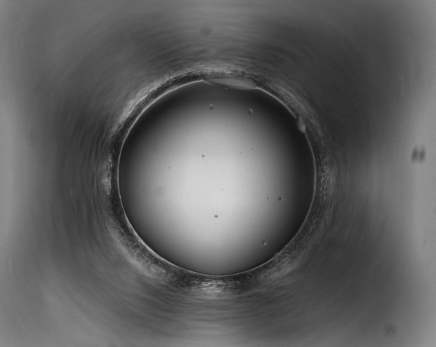 X0000116160064200911231415