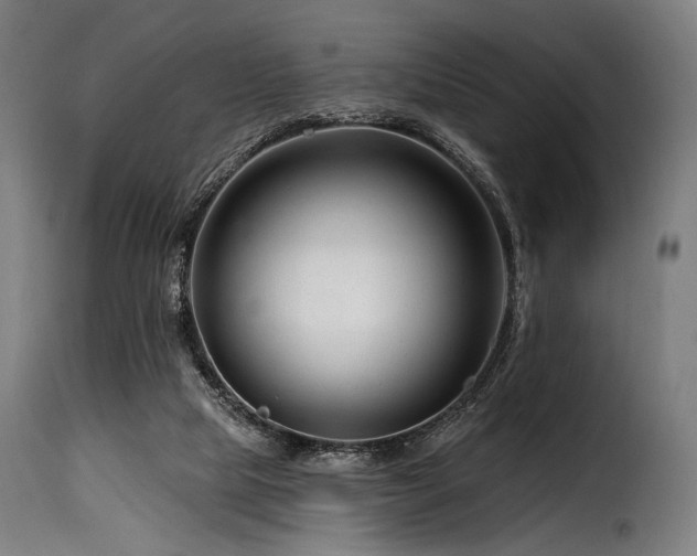 X0000116160065200911231415