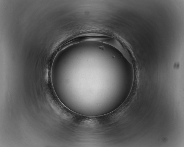 X0000116160067200911231415