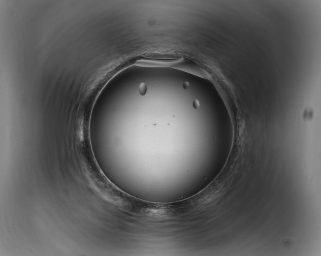 X0000116160068200911231415