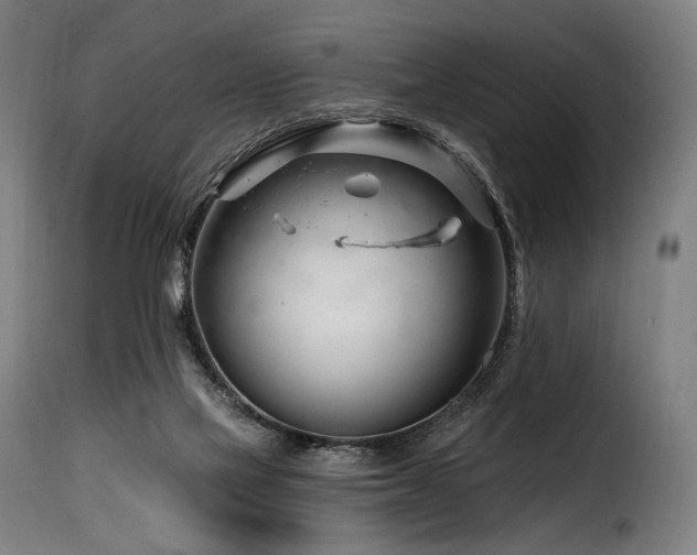 X0000116160069200911231415