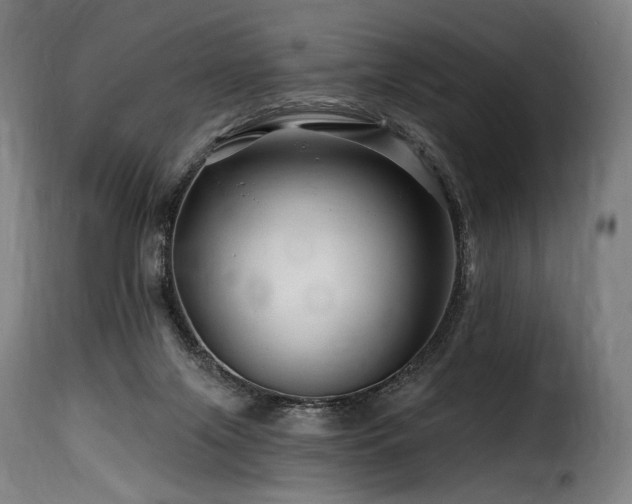 X0000116160071200911231415