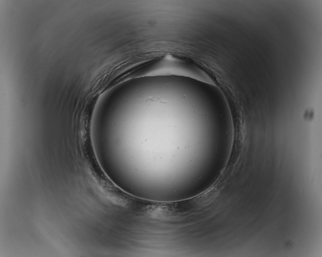 X0000116160074200911231415