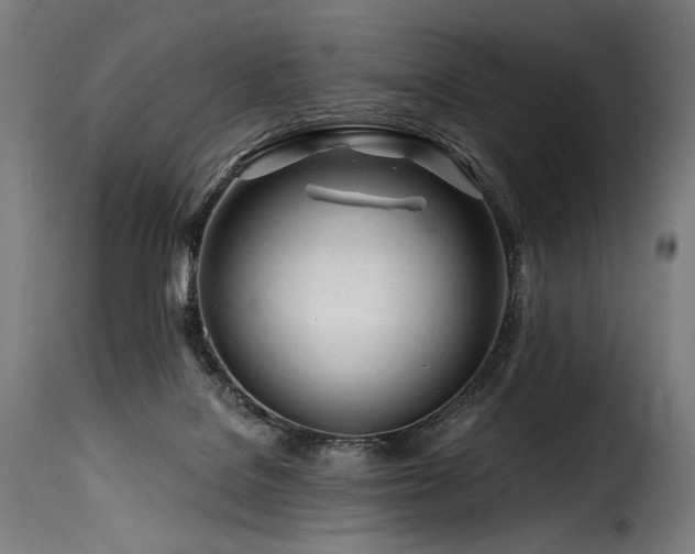 X0000116160076200911231415