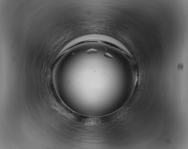 X0000116160077200911231415