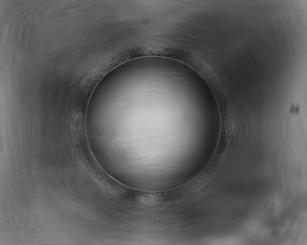 X0000116160079200911231415