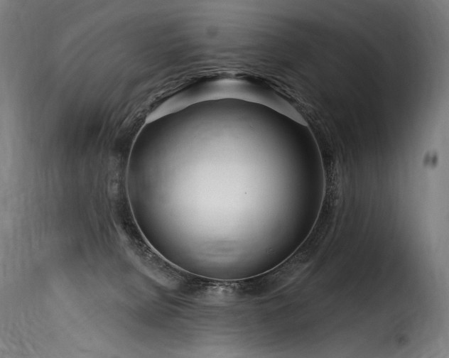 X0000116160080200911231415