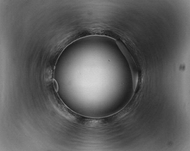 X0000116160081200911231415