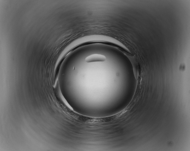 X0000116160082200911231415