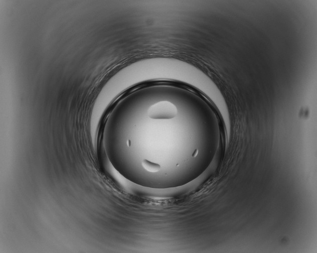 X0000116160084200911231415