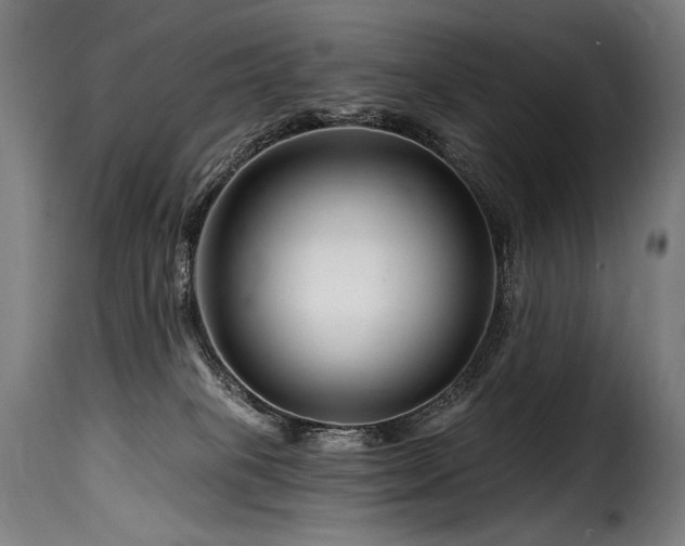 X0000116160085200911231415