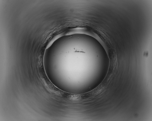 X0000116160088200911231415