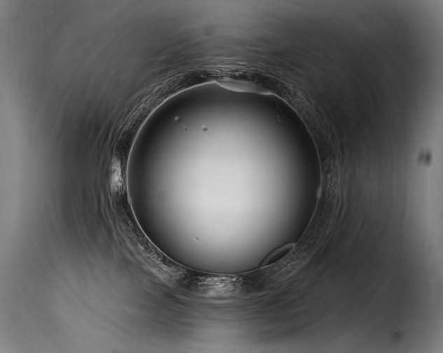 X0000116160089200911231415