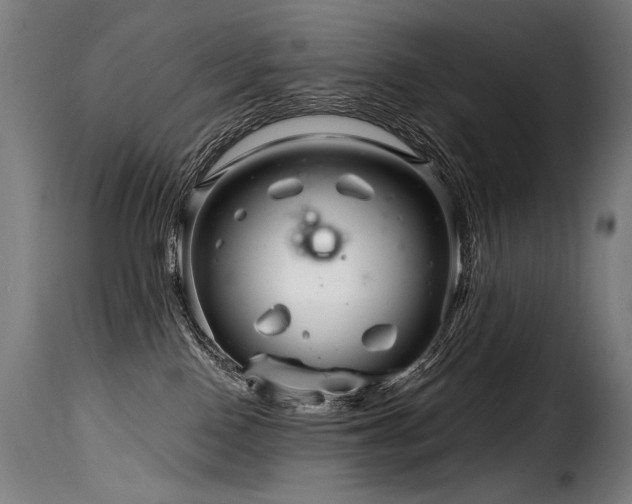 X0000116160090200911231415