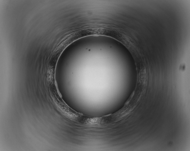 X0000116160092200911231415