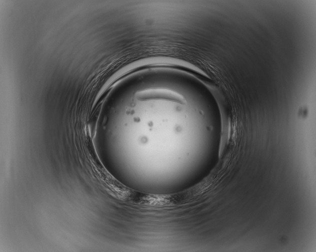 X0000116160093200911231415