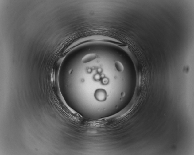 X0000116160094200911231415