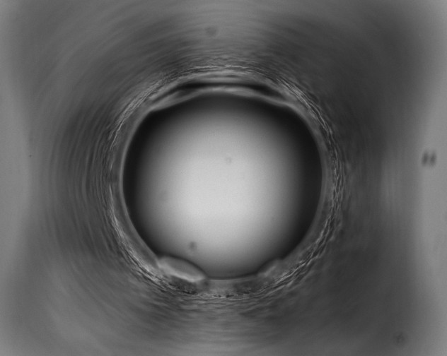 X0000116160097200911231414