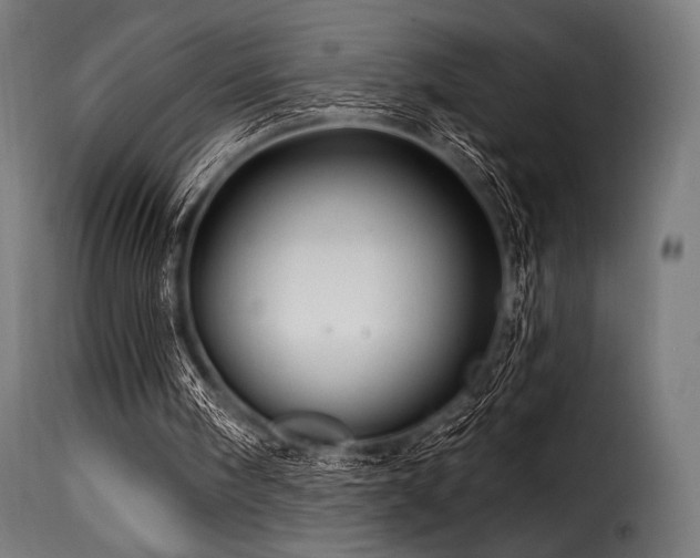 X0000116160098200911231414