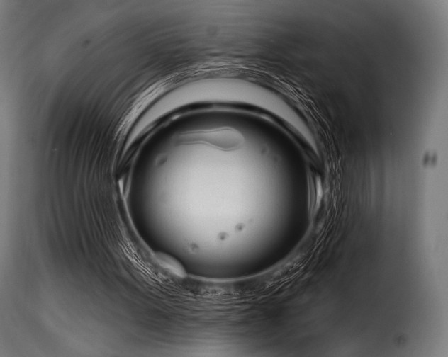 X0000116160099200911231414