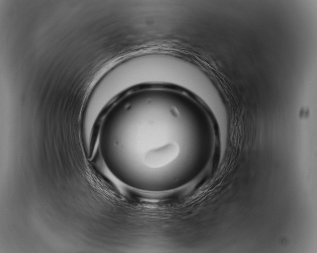 X0000116160100200911231414