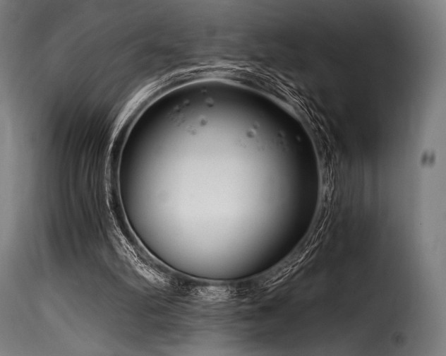 X0000116160102200911231414