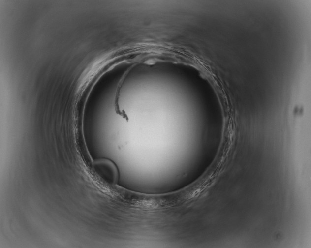 X0000116160103200911231414