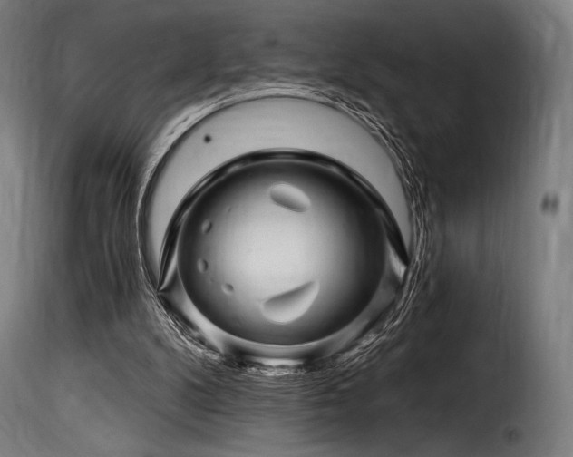 X0000116160104200911231414