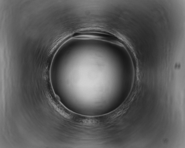 X0000116160105200911231414