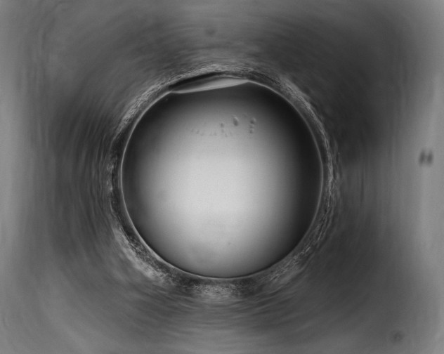 X0000116160106200911231414