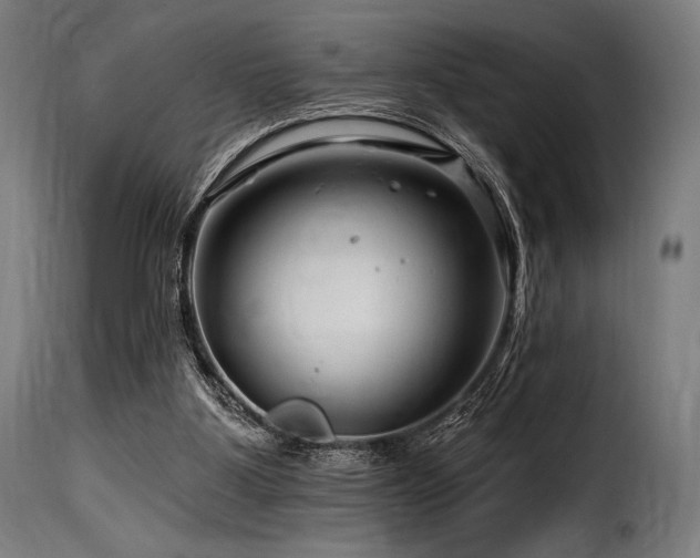 X0000116160107200911231414