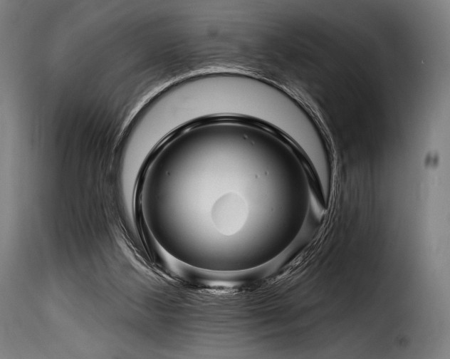 X0000116160108200911231414