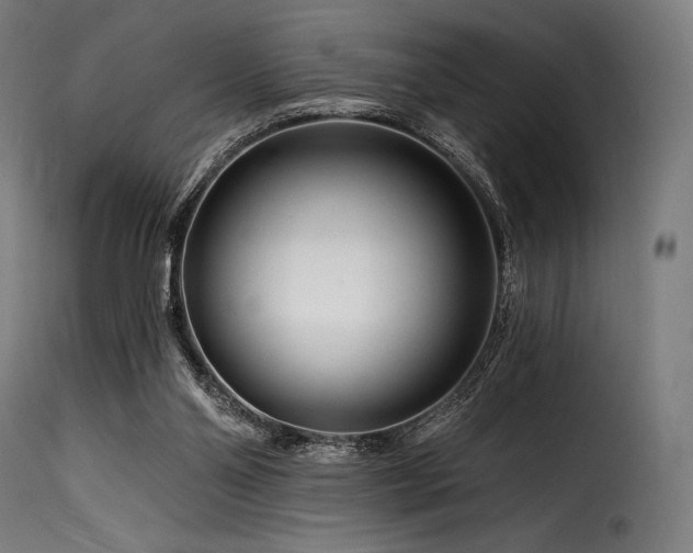 X0000116160110200911231414