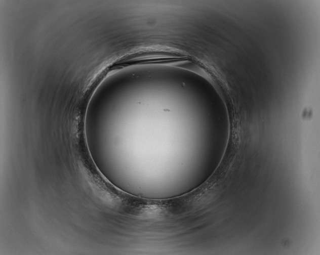 X0000116160111200911231414