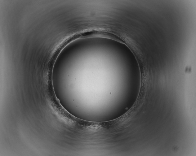 X0000116160112200911231414