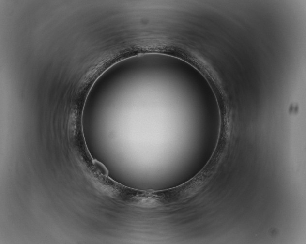 X0000116160113200911231414