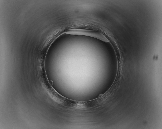 X0000116160114200911231414