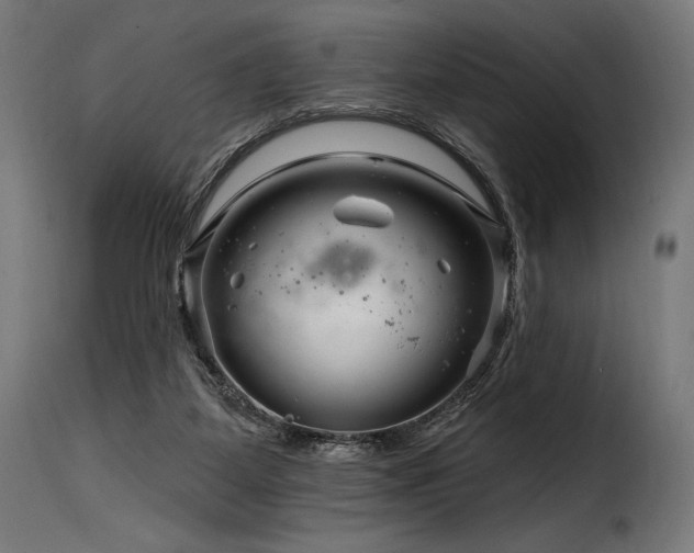 X0000116160115200911231414